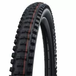 Schwalbe Big Betty 29