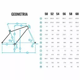 Marin Gestalt 6 Marin Gestalt - Imagen 4