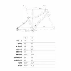 Conor Malibu Man 9 Conor Malibu Man -Bicicletas Tienda de ventas malibu man 3