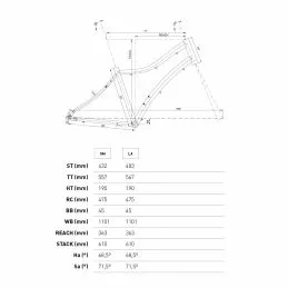 Conor Malibu Man 6 Conor Malibu Man - Imagen 4