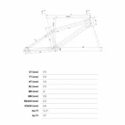 Conor Rave 7 Conor Rave - Imagen 5