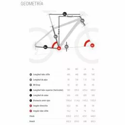 BH Ultimate EVO 9.5 4 BH Ultimate EVO 9.5 - Imagen 2