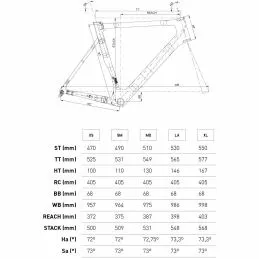 Conor WRC Bold Disc Ultegra Di2 7 Conor WRC Bold Disc Ultegra Di2 - Imagen 5