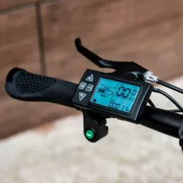 Youin You-Ride Amsterdam 10 Youin You-Ride Amsterdam - Imagen 8